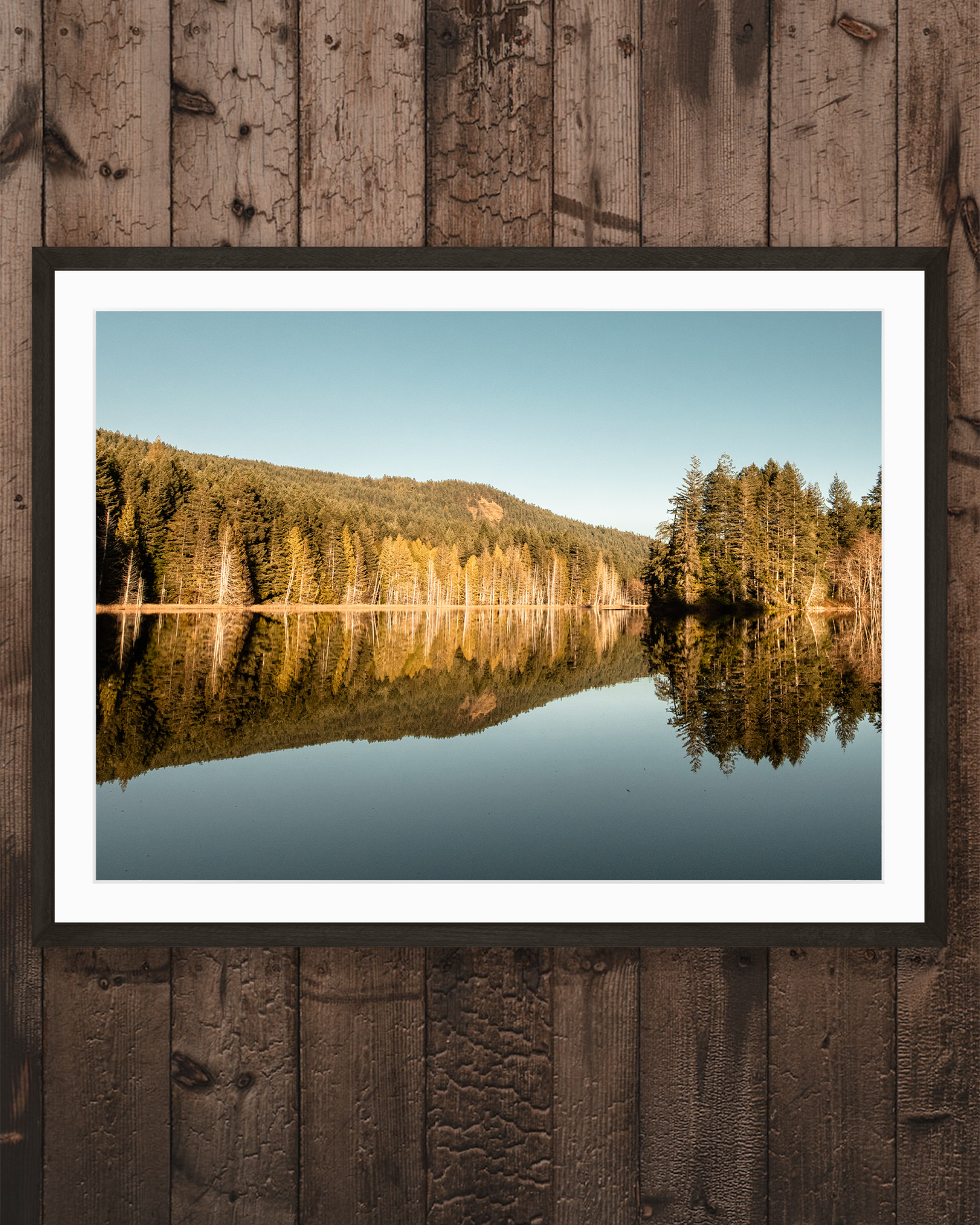 Trout Lake Reflection