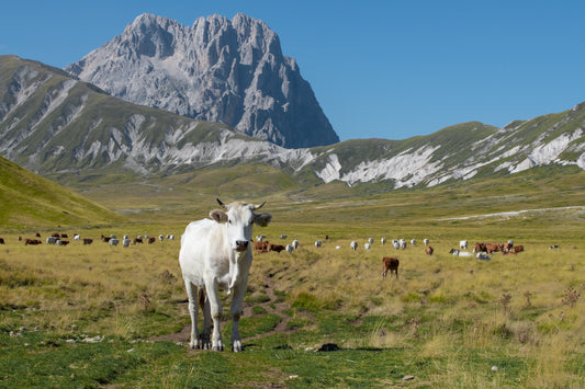 Campo Imperatore