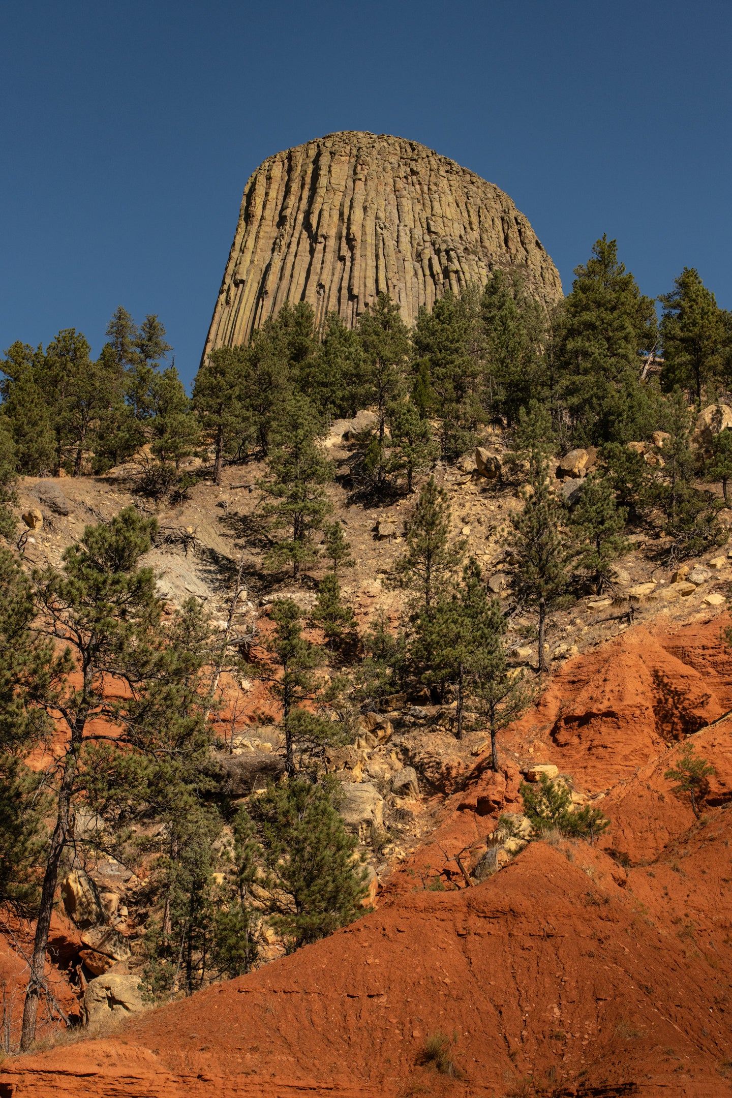 Devils Tower