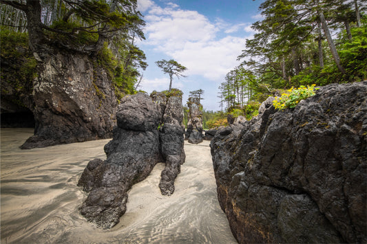 Sea Stacks