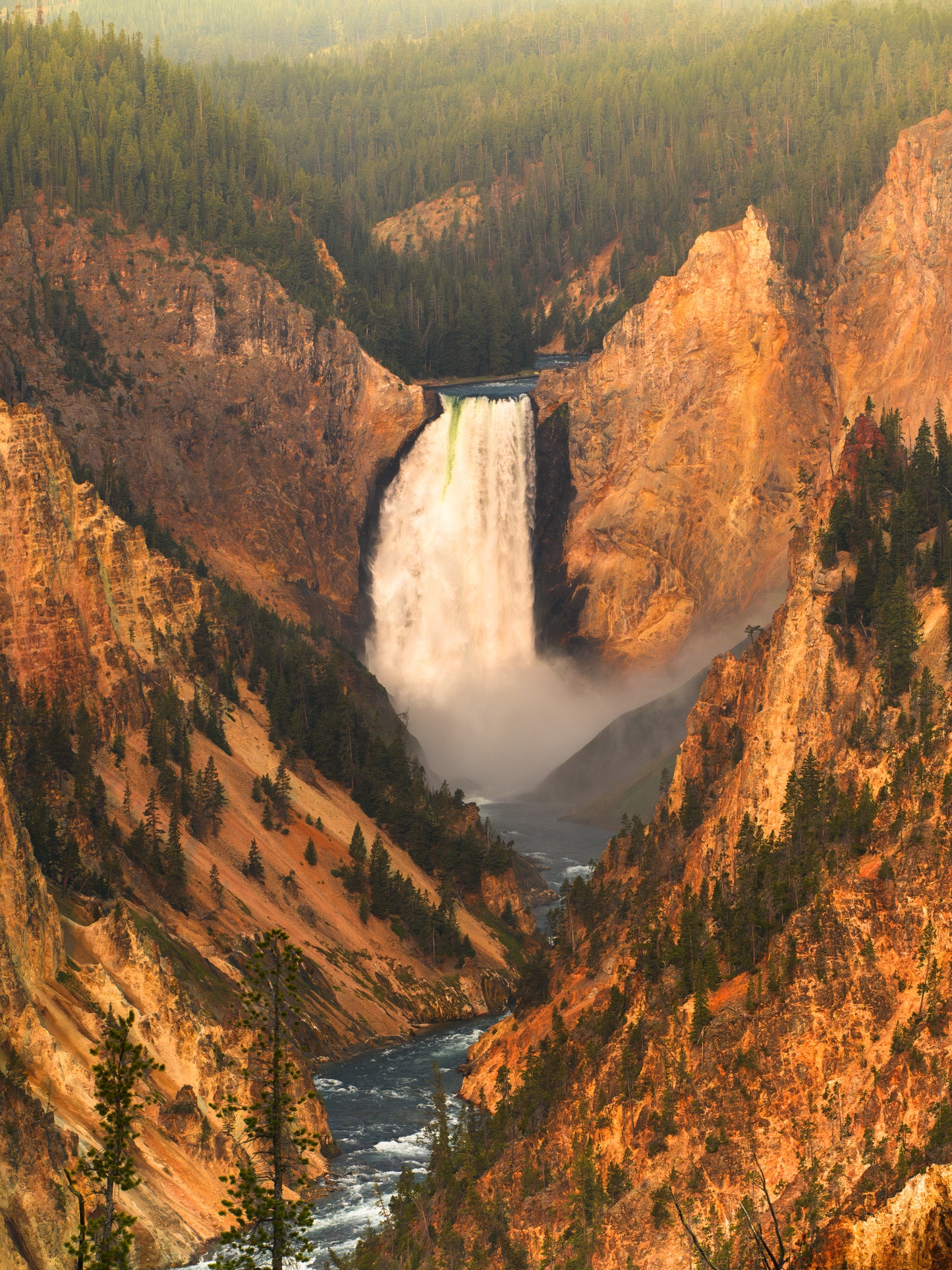 Yellowstone Falls