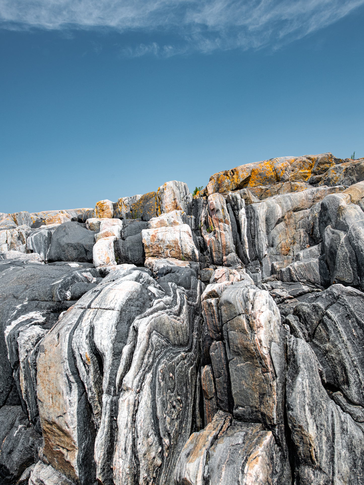 Canadian Shield 1