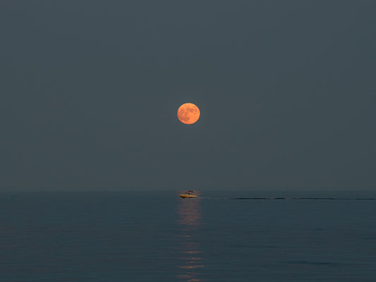 Strawberry Moon