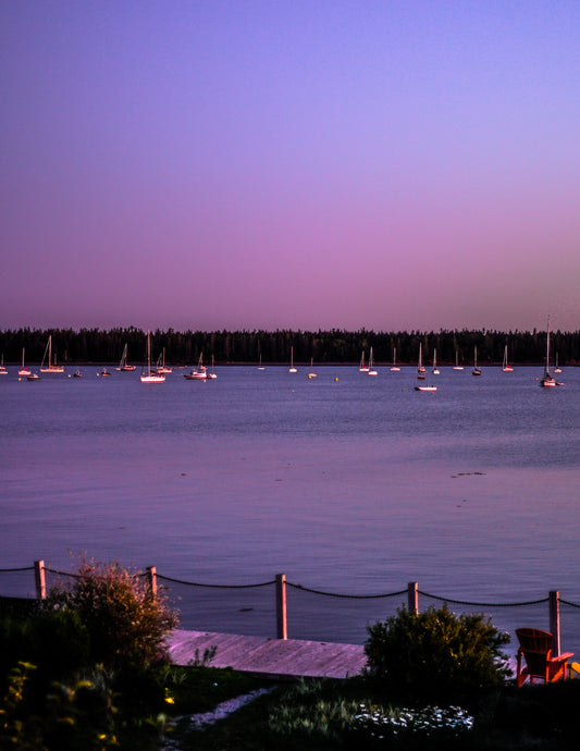 Harbor Sunset