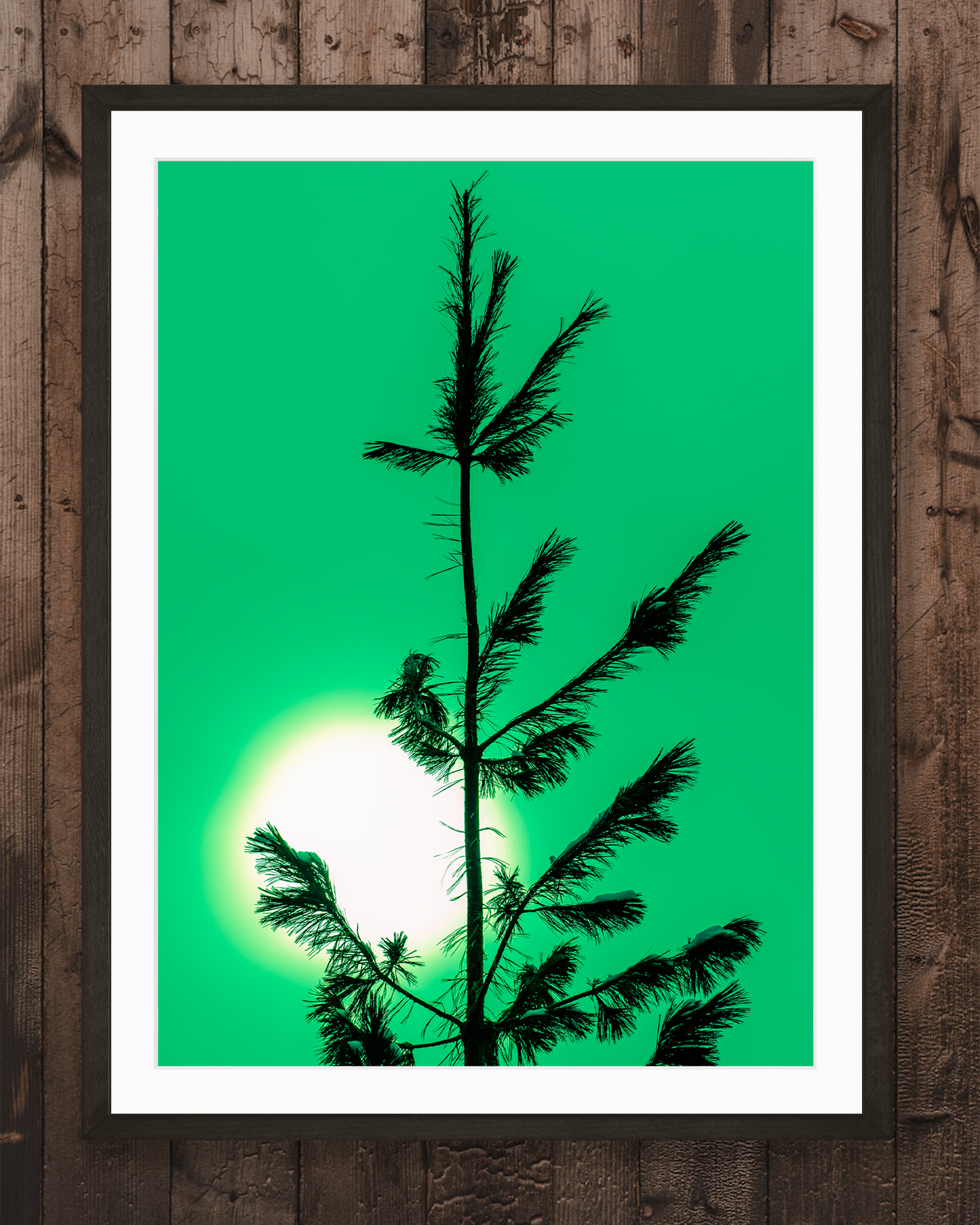 Green Pine